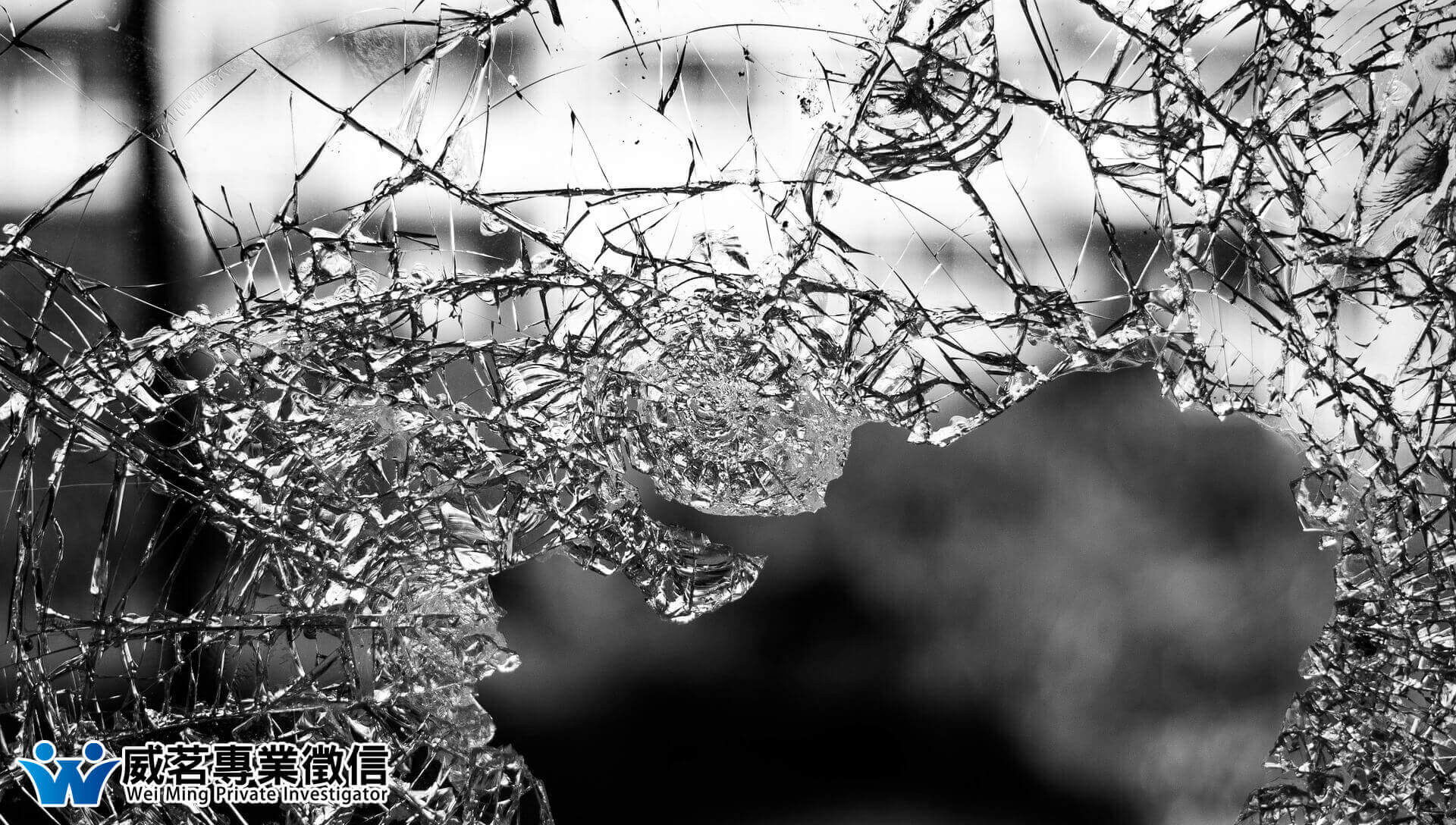 威茗專業徵信的實績案例 威茗專業徵信的實績案例圖片