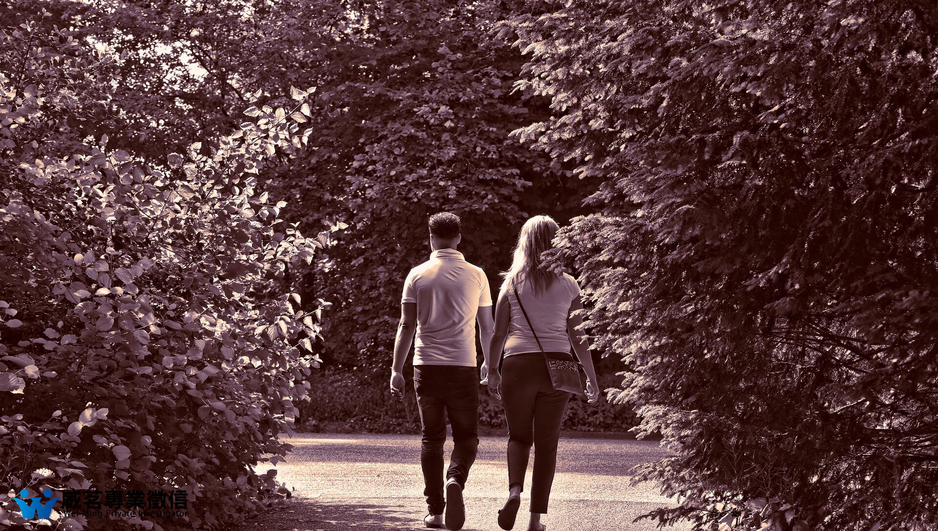 威茗專業徵信的實績案例 威茗專業徵信的實績案例圖片